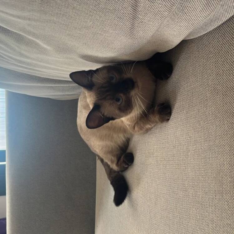 Foto de perfil de Mario