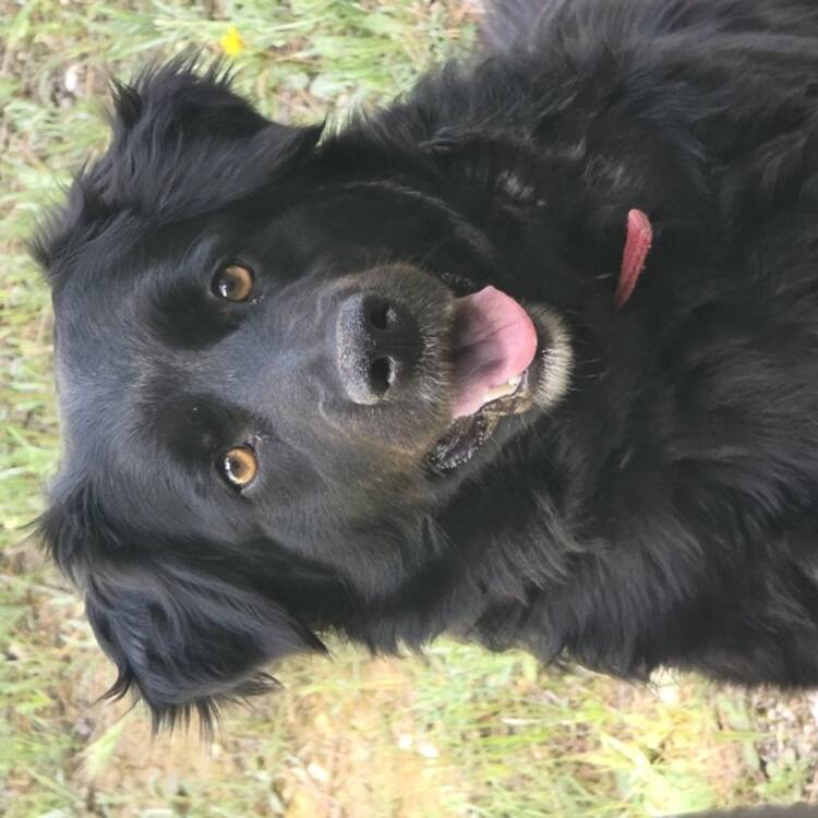Foto de perfil de Cándido