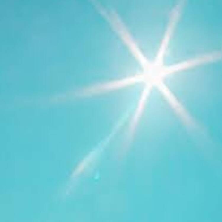Foto de perfil de alba