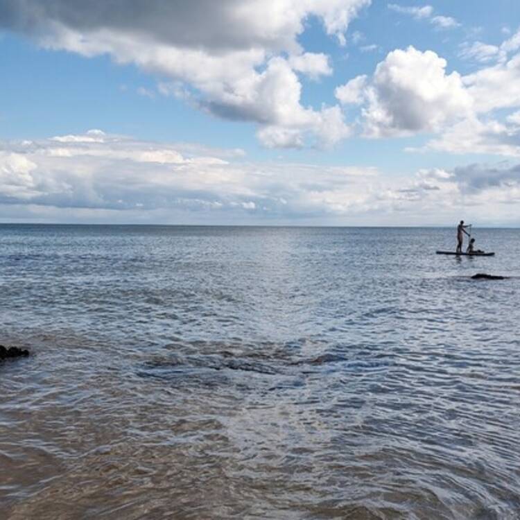 Foto de perfil de Mer