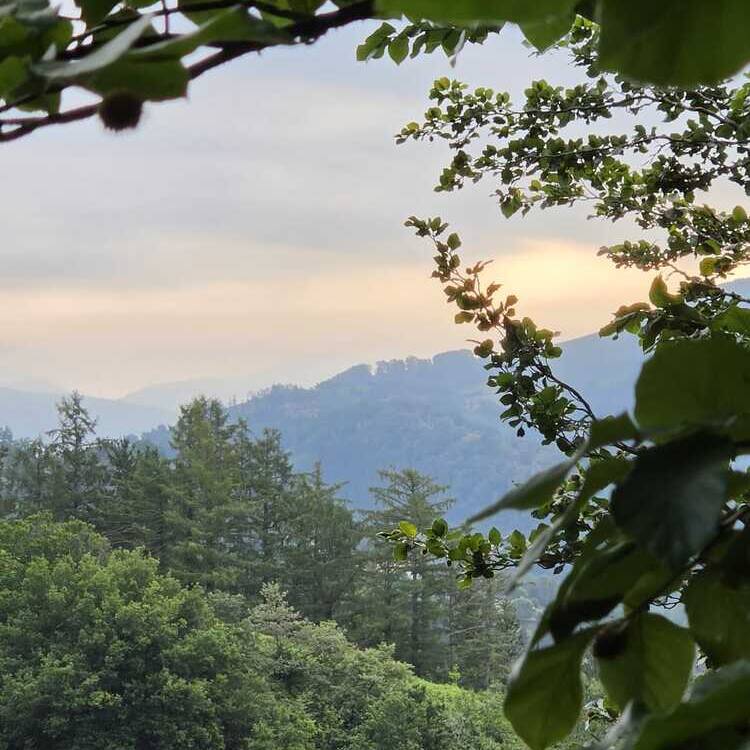 Foto de perfil de Maria