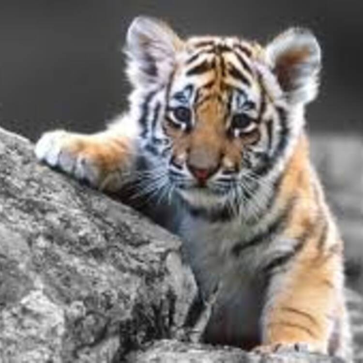 Foto de perfil de averquehay
