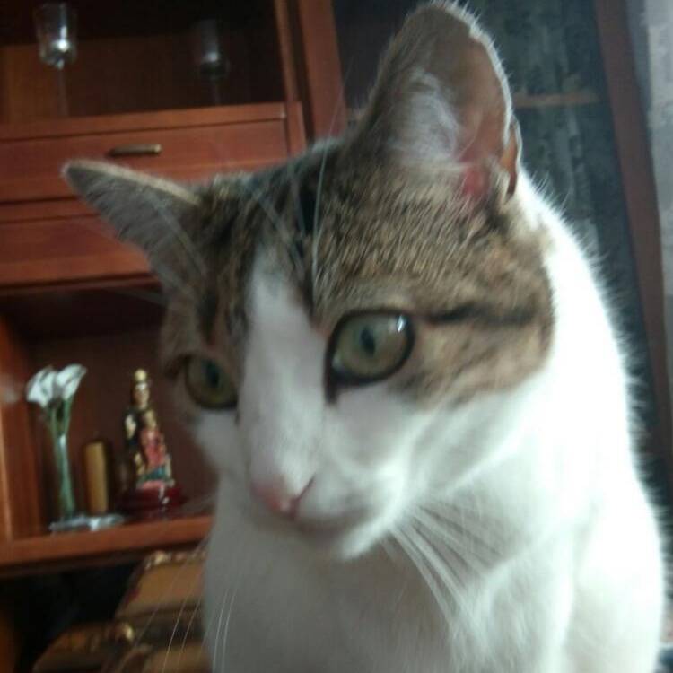 Foto de perfil de Rocio