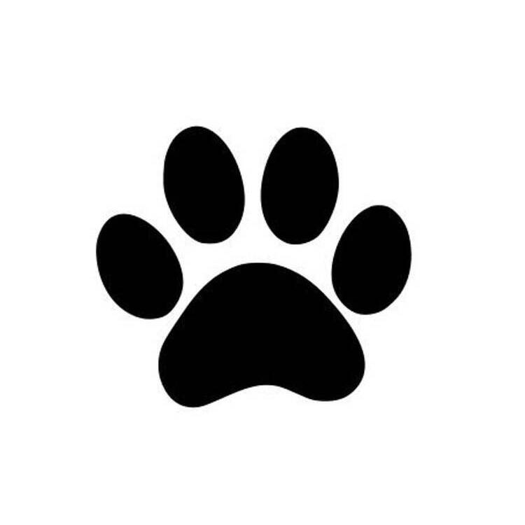 Foto de perfil de Kitty