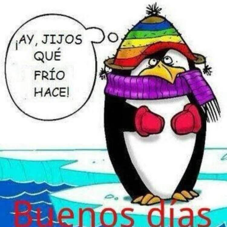 Foto de perfil de Banana