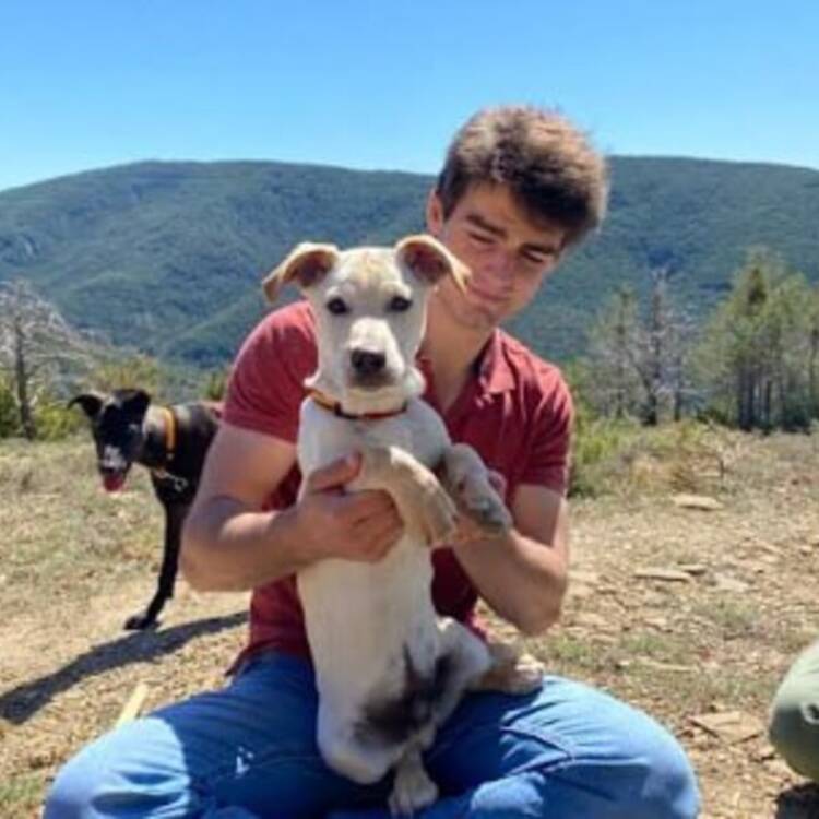 Foto de perfil de Nicolas