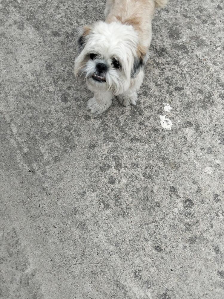 Foto de perfil de Álvaro