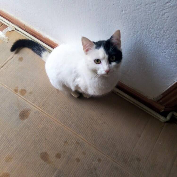 Foto de perfil de Araceli