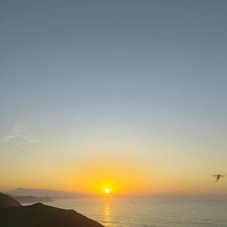 Foto de perfil de Siropa