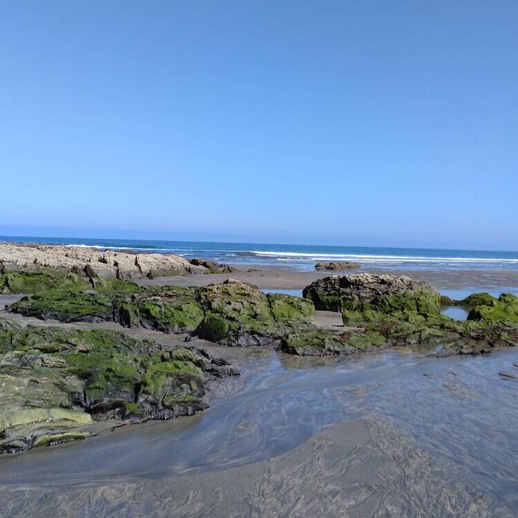 Foto de perfil de Maria
