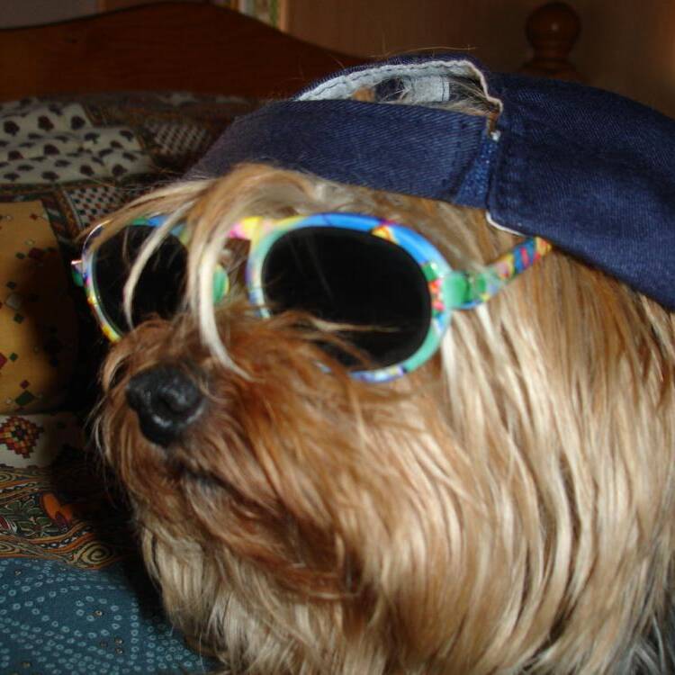 Foto de perfil de Carlos