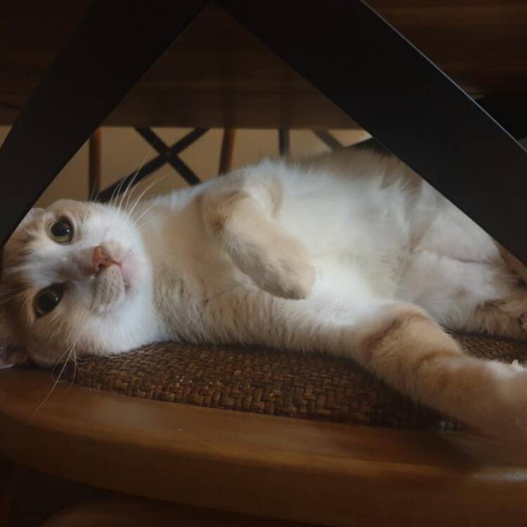 Foto de perfil de Mayte