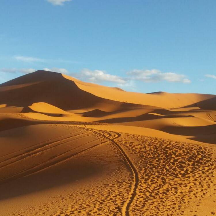 Foto de perfil de PEPA