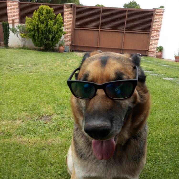 Foto de perfil de Manuel