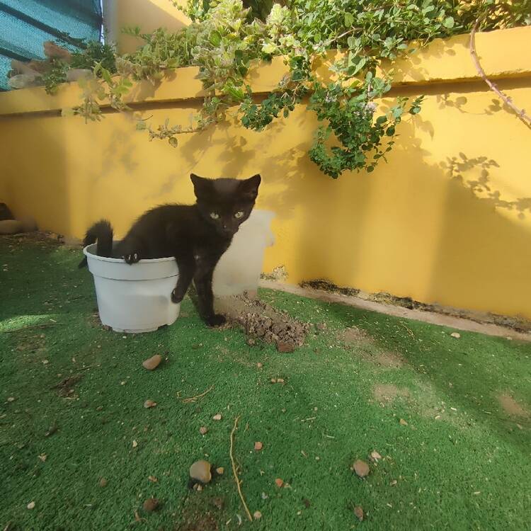 Foto de perfil de Cris