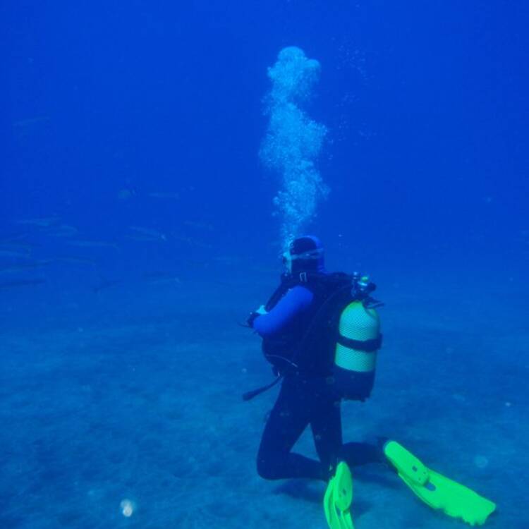 Foto de perfil de Juan MC