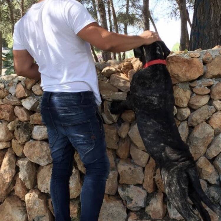 Foto de perfil de Jaime