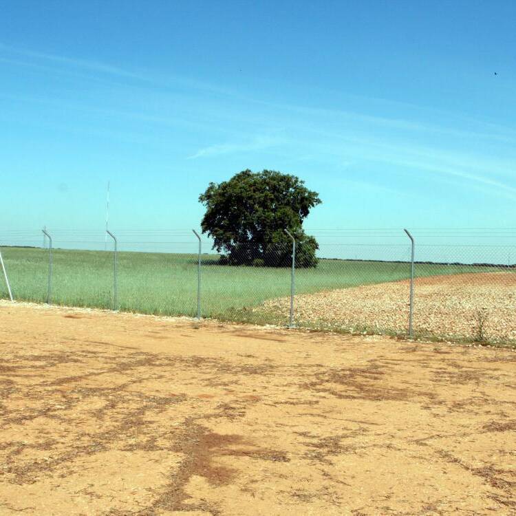 Foto de perfil de MARIA