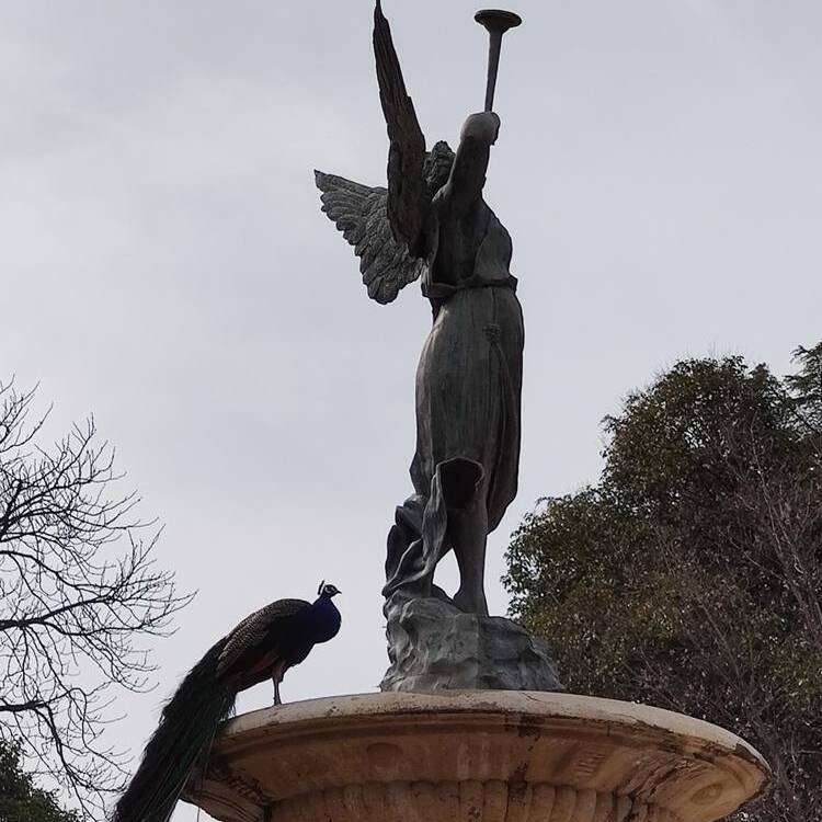 Foto de perfil de Mar