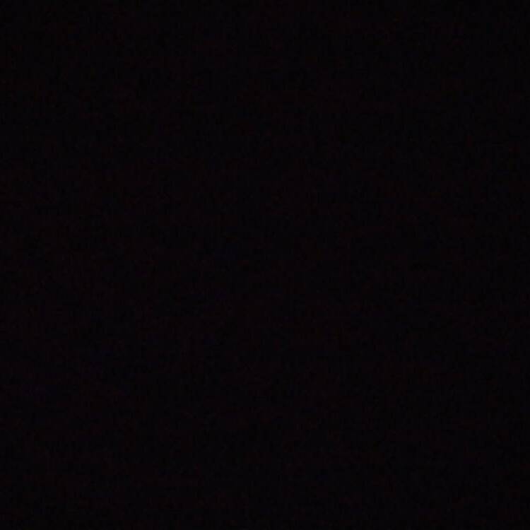 Foto de perfil de Pedro