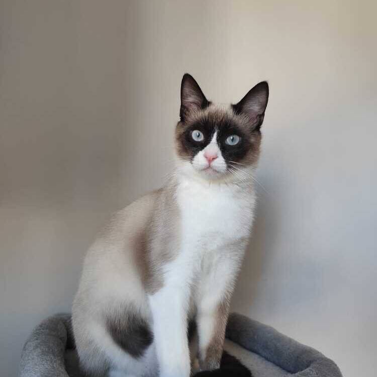 Foto de perfil de Teresa