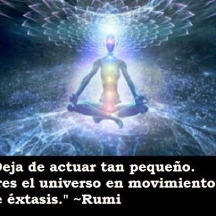 Foto de perfil de Nrv