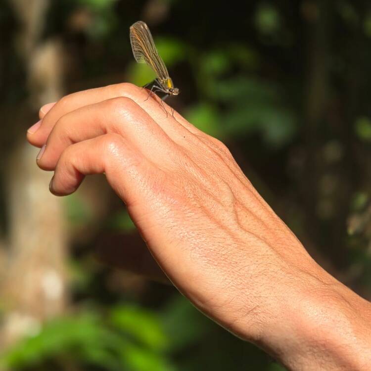 Foto de perfil de Alberto