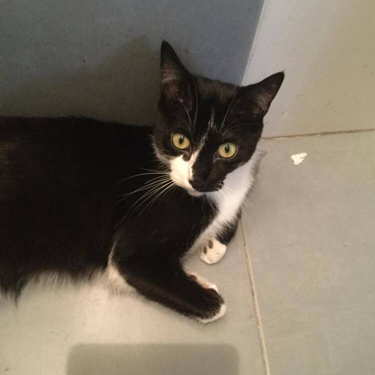 Foto de perfil de Carlos