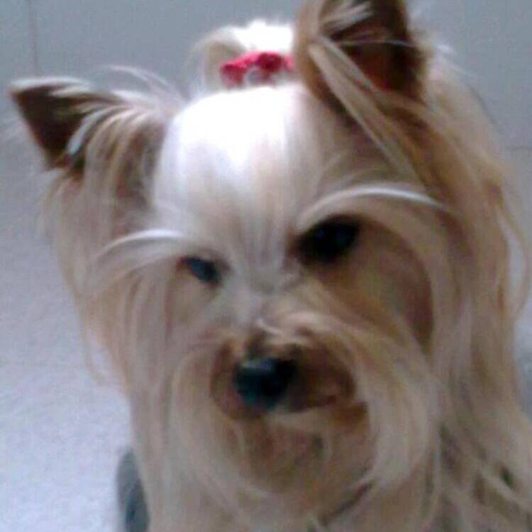 Foto de perfil de belen