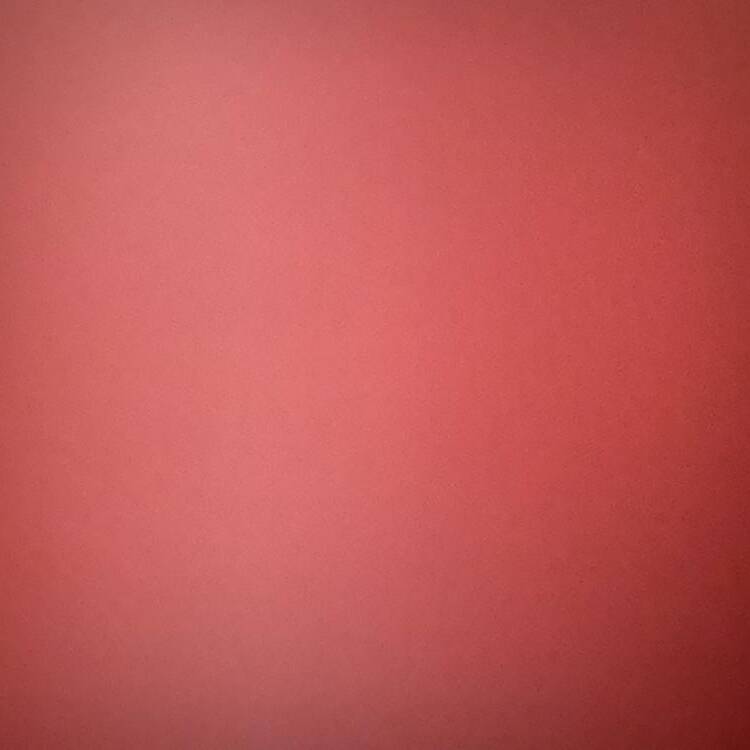 Foto de perfil de Sam