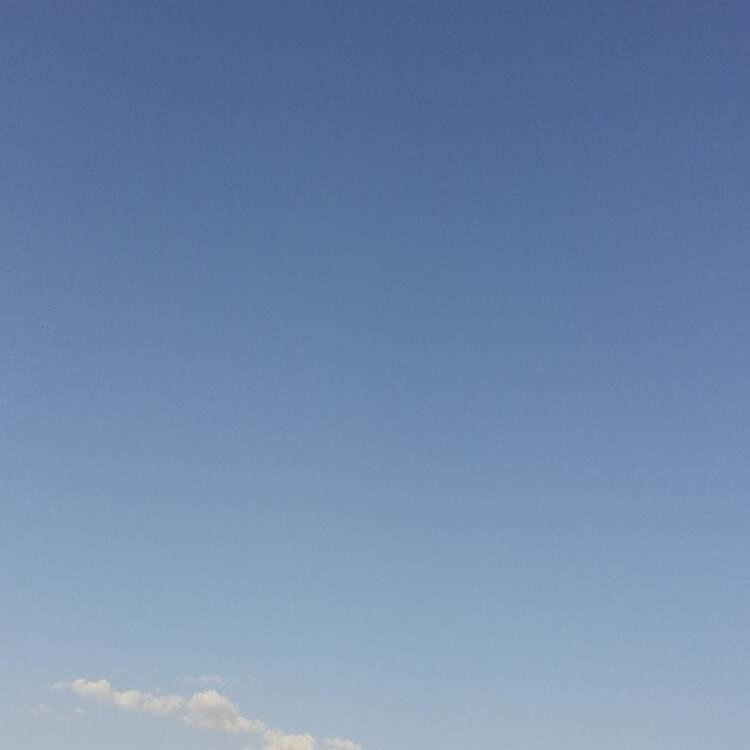 Foto de perfil de Pilar