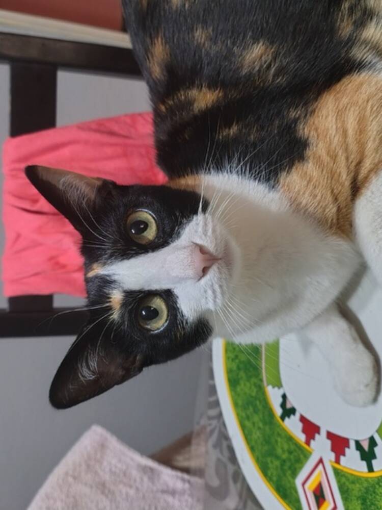 Foto de perfil de Jesus