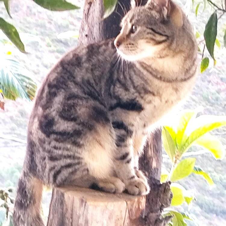 Foto de perfil de enqui