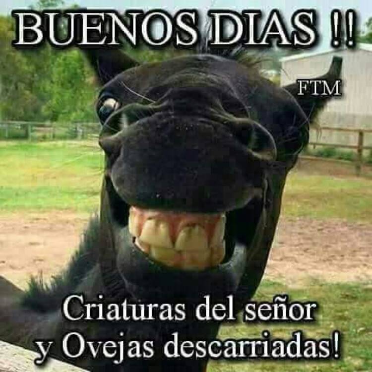 Foto de perfil de Mam