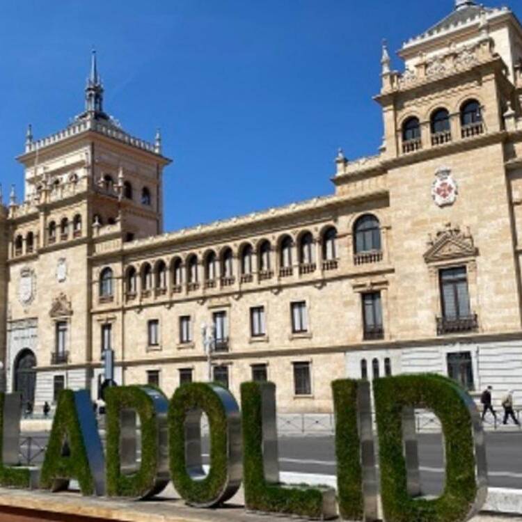 Foto de perfil de David