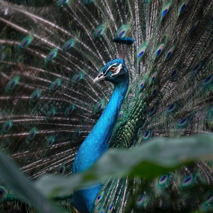 Foto de perfil de Maria