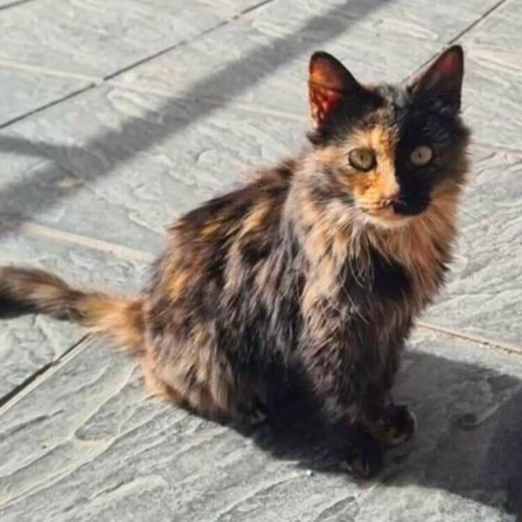 Foto de perfil de Beatriz