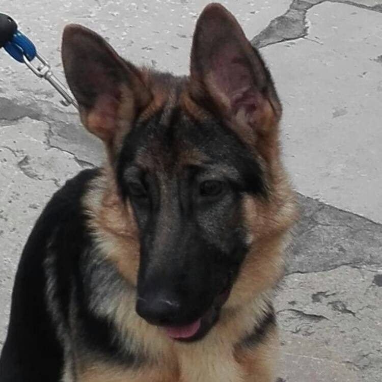 Foto de perfil de Jose M.