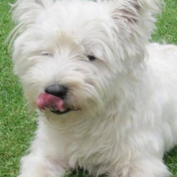 Foto de perfil de claudia