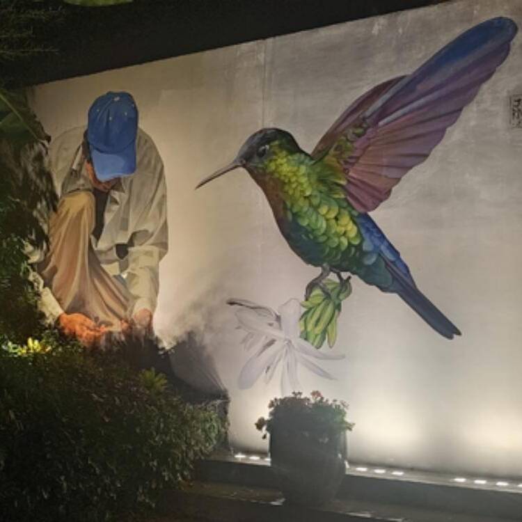 Foto de perfil de juan antonio