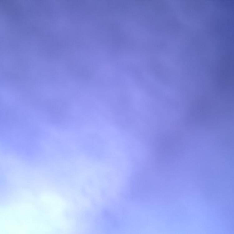 Foto de perfil de Yolanda