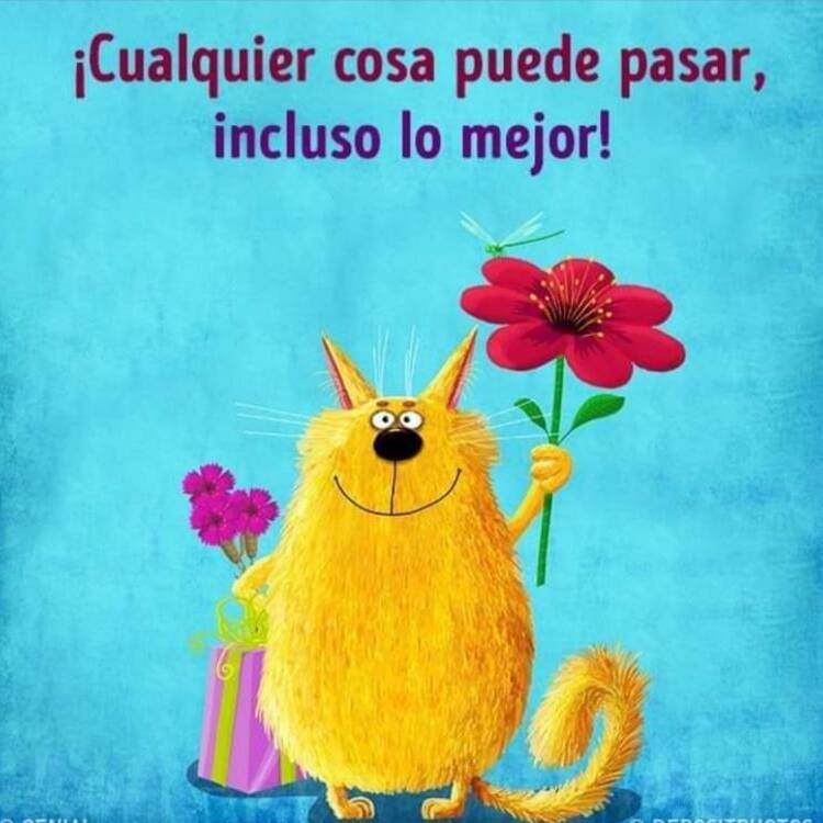 Foto de perfil de cris