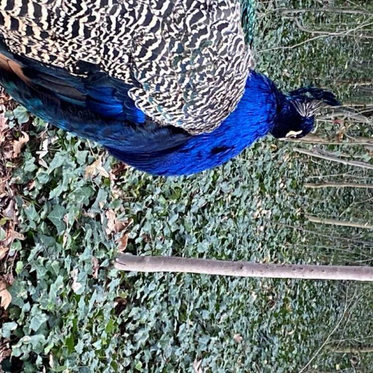 Foto de perfil de Jorge