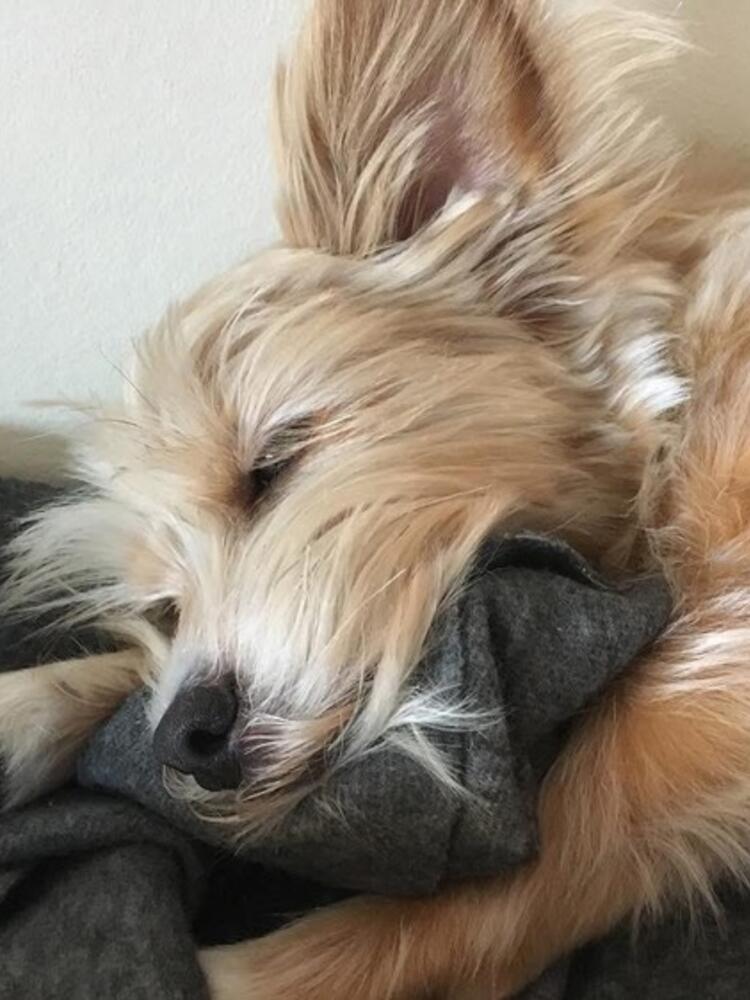 Foto de perfil de Alma