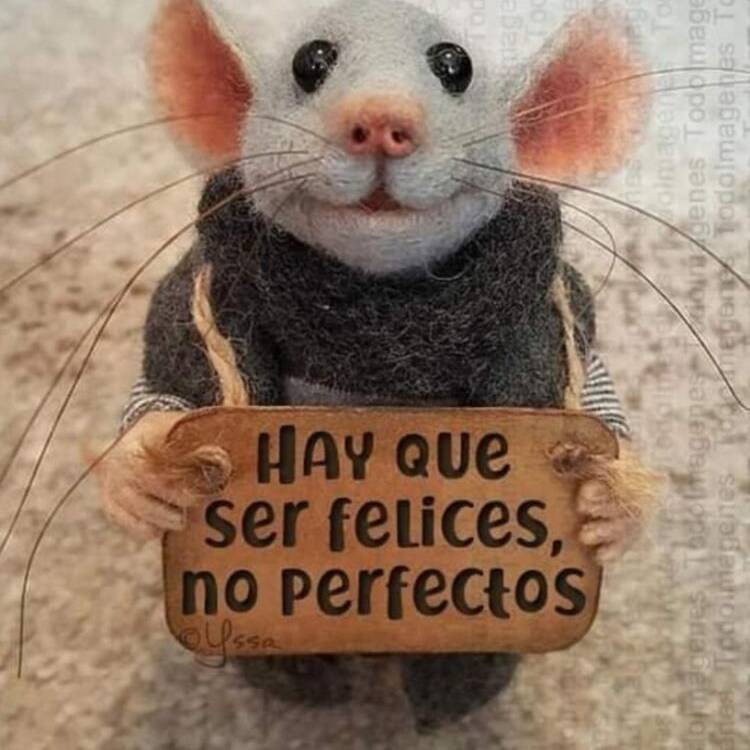 Foto de perfil de Carla