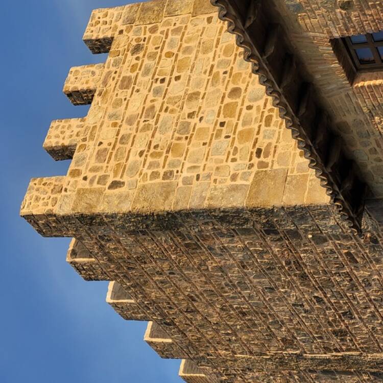 Foto de perfil de Celia