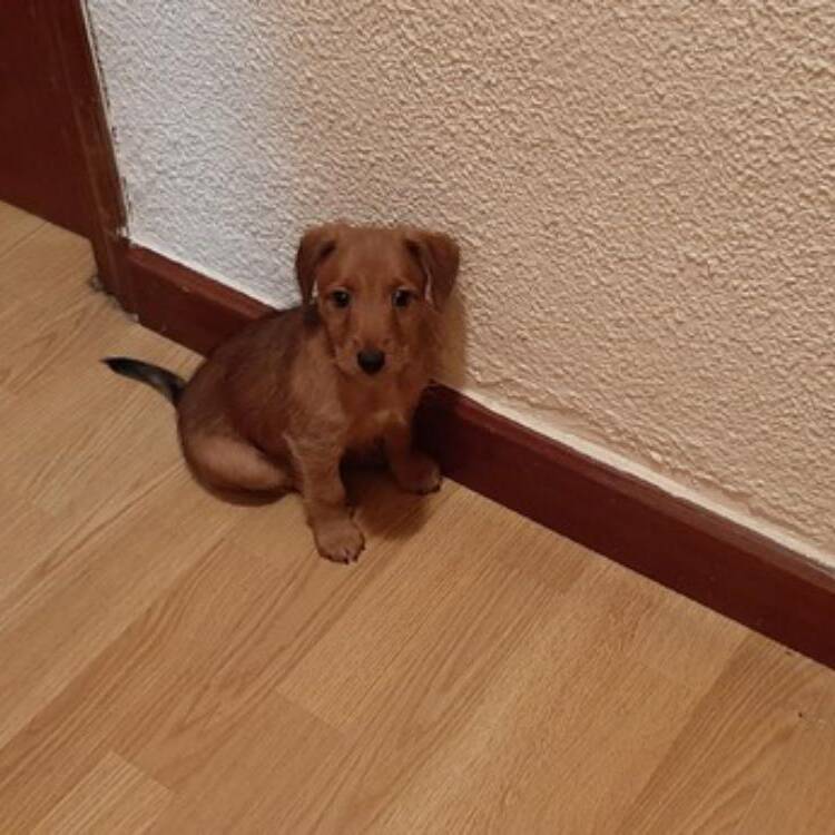Foto de perfil de Ruben