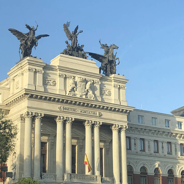 Foto de perfil de Carmen