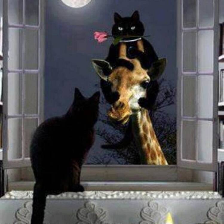 Foto de perfil de Caty