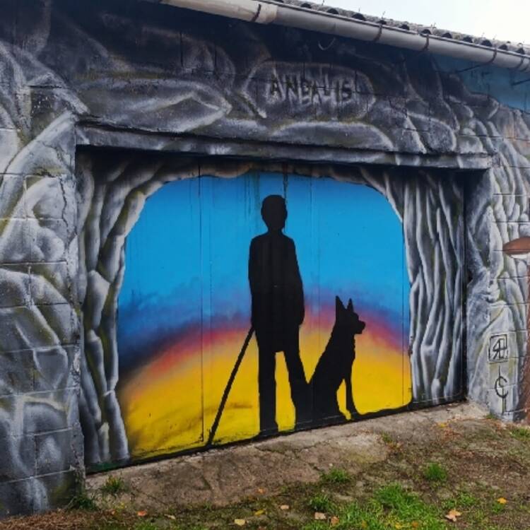 Foto de perfil de Andre